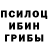 Галлюциногенные грибы мицелий Hudermunh Amartuvshin