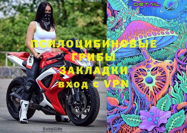 прущий лед Богородицк