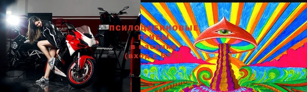 прущие грибы Бронницы