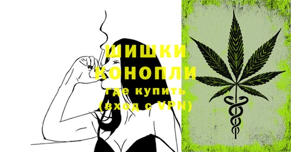 прущие грибы Бронницы