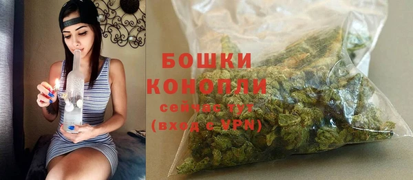 ALPHA PVP Бородино