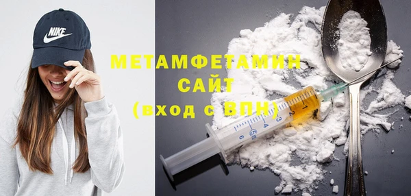 прущие грибы Бронницы
