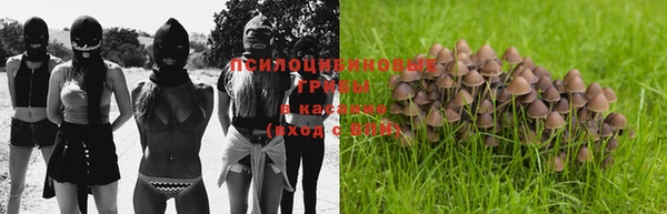 прущий лед Богородицк