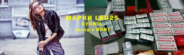 прущие грибы Бронницы