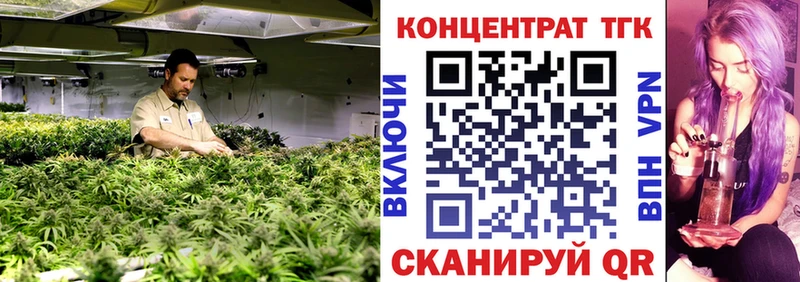 продажа наркотиков  kraken как зайти  Дистиллят ТГК жижа  Новоржев 