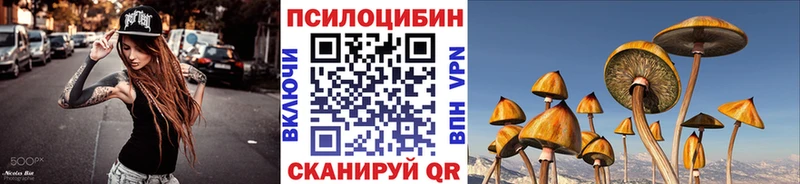 блэк спрут ТОР  Новоржев  Псилоцибиновые грибы GOLDEN TEACHER 